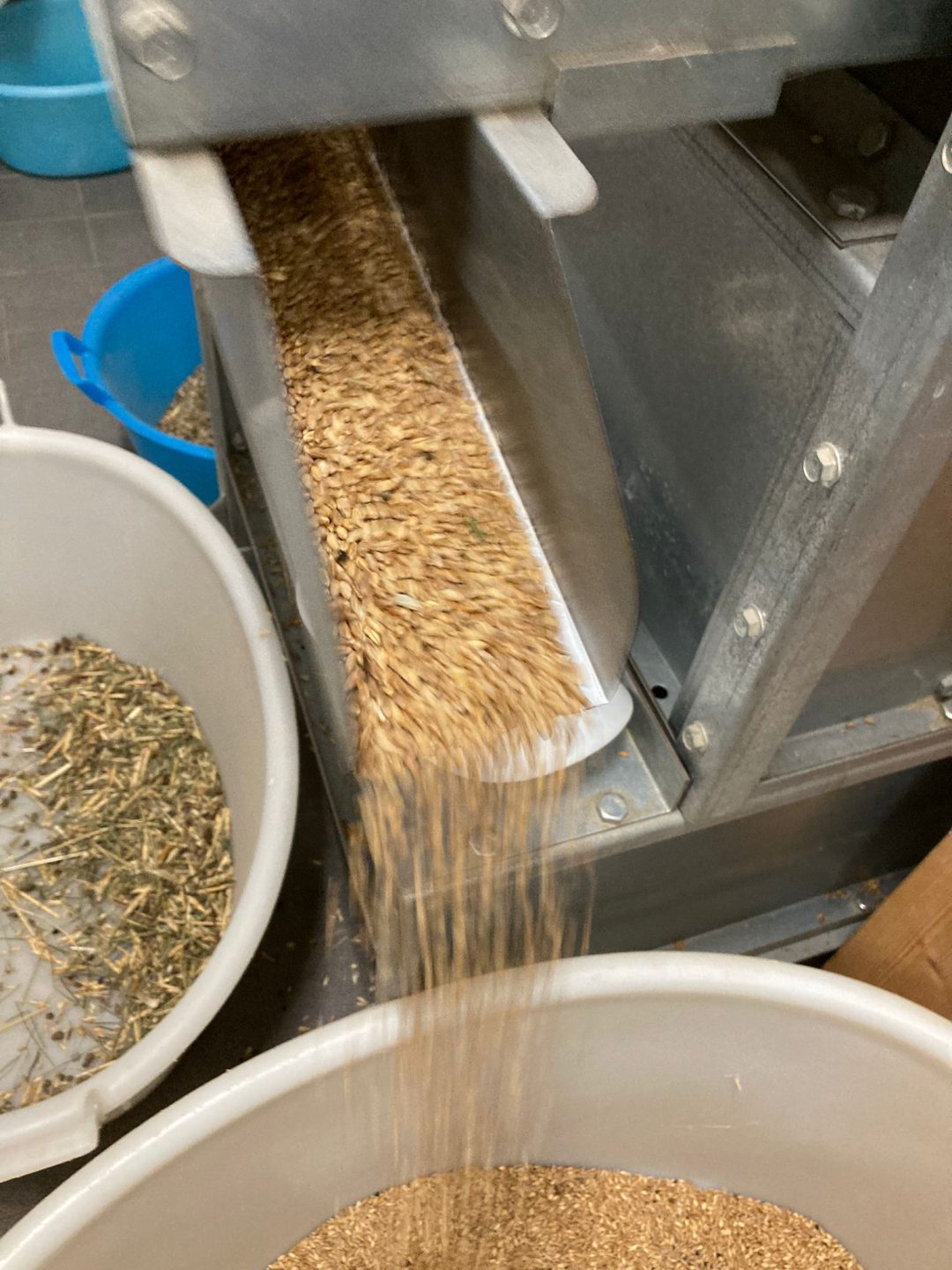 Molino La Spigolatrice