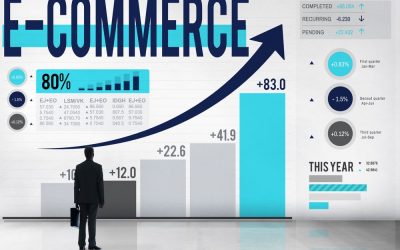 Indagine ISTAT su e-commerce