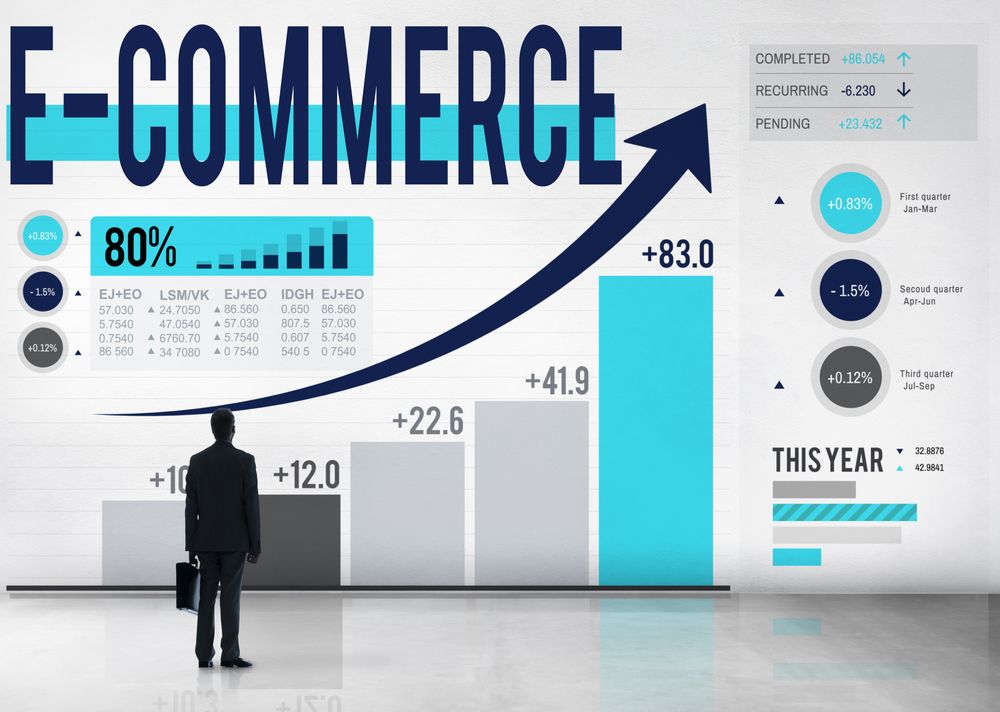Indagine ISTAT su e-commerce Indagine ISTAT su e-commerce
